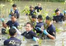 PT PAL Indonesia Tanam 2.000 Bibit Mangrove untuk Lestarikan Pesisir Surabaya