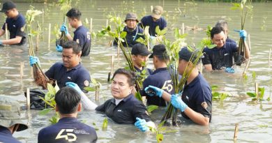 PT PAL Indonesia Tanam 2.000 Bibit Mangrove untuk Lestarikan Pesisir Surabaya