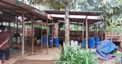 Peternak Domba di Ampel Boyolali Tewas Usai Terjerat Mesin Pencacah Pakan