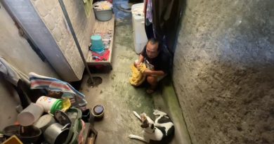 Evakuasi Dramatis Anjing Mengamuk di Sragen, 5 Orang Jadi Korban Gigitan