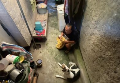 Evakuasi Dramatis Anjing Mengamuk di Sragen, 5 Orang Jadi Korban Gigitan