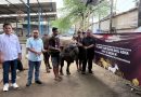 Idul Adha 1447 H, Bolone Mase Indonesia Tebar Kepedulian Lewat Penyaluran Hewan Qurban di Solo