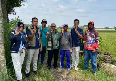 Bulog Surakarta Kejar Target Pengadaan, Serapan Gabah-Beras Sudah Tembus 75 Persen Bulog Surakarta Kejar Target Pengadaan, Serapan Gabah-Beras Sudah Tembus 75 Persen