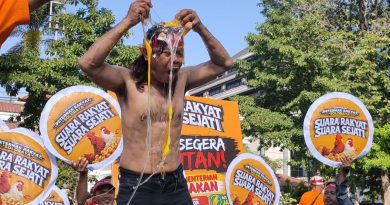 Peternak di Solo Bagi Ayam hingga Gelar ‘Mandi Telur’, Protes Harga Anjlok dan Biaya Produksi Melonjak