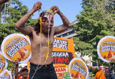 Peternak di Solo Bagi Ayam hingga Gelar ‘Mandi Telur’, Protes Harga Anjlok dan Biaya Produksi Melonjak Peternak di Solo Bagi Ayam hingga Gelar ‘Mandi Telur’, Protes Harga Anjlok dan Biaya Produksi Melonjak